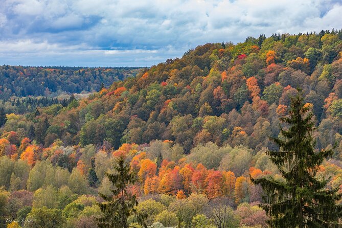 Latvia's Switzerland and Gauja National Park Tour - Key Highlights You’ll Actually Feel During This Tour