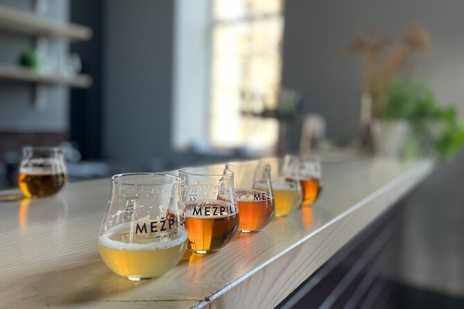 Latvian Brewery Visit and Beer Tasting - The historic origins part: where beer culture becomes more than a slogan