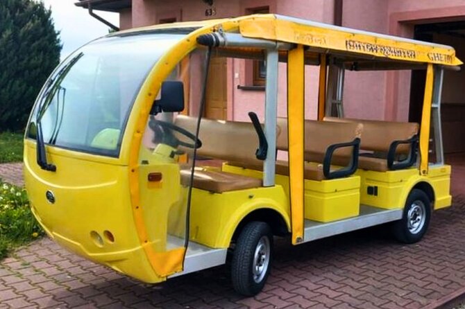 Old Town Sightseeing Tour in Riga by Electro Bus - Town Hall Square and the House of the Blackheads view