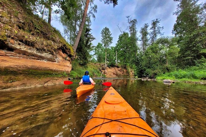 One-Day Kayaking Trip in Gauja River Valley - Kayaks, paddling effort, and what to expect when water levels change