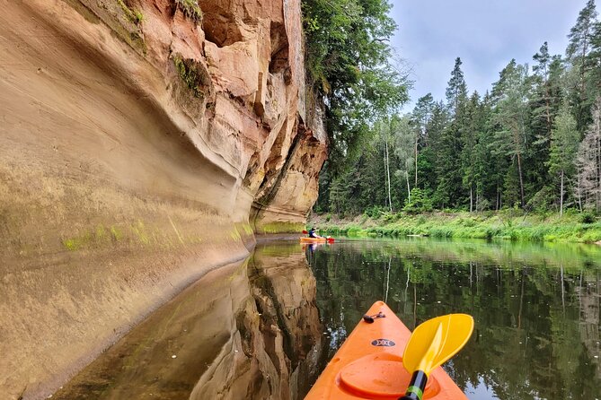 One-Day Kayaking Trip in Gauja River Valley - The guide experience: why Ronalds and Rolands make the trip
