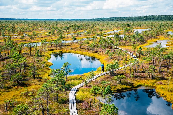 Private Full-Day Trip to Jurmala and Great Kemeri Bog Boardwalk - Strolling Jurmala Town and Baltic Beaches