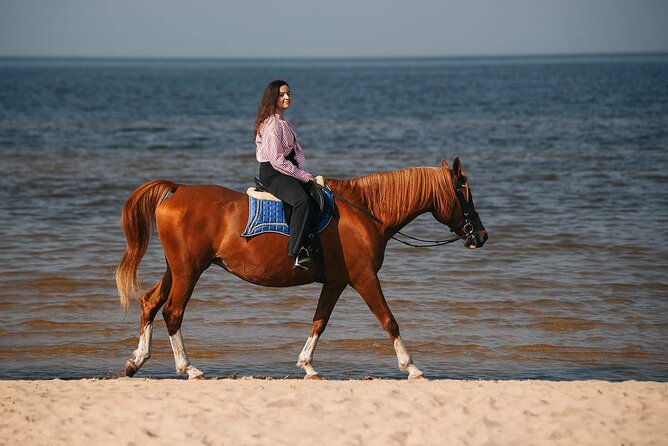 Private Horse Riding on the Beach in Riga - Key highlights at a glance