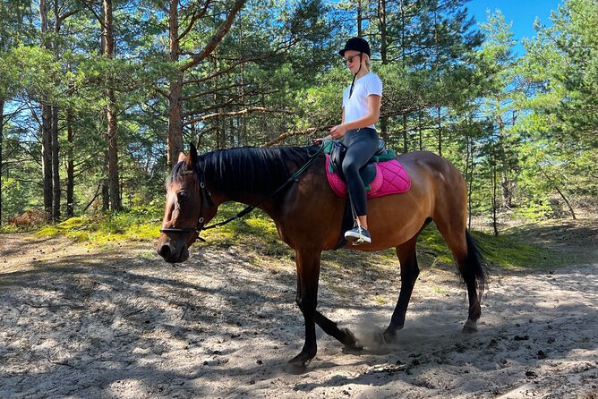 Private Horse Riding on the Beach in Riga - Riding Through Latvian Forest and Sand Dunes to the Beach