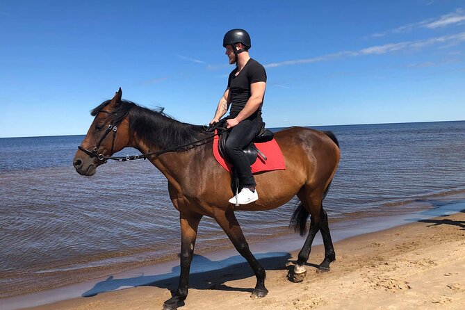 Private Horse Riding on the Beach in Riga - What’s Included, What Isn’t, and How to Plan Your Food