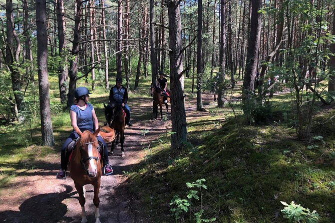 Private Horse Riding on the Beach in Riga - Price Check: Is $150.63 Per Person Good Value?