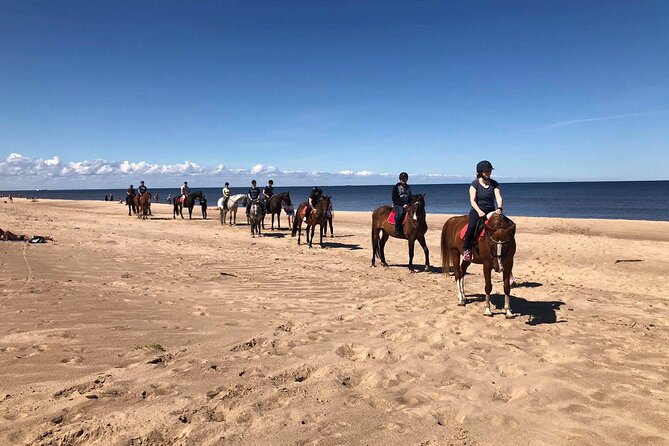 Private Horse Riding on the Beach in Riga - Door-to-Door Pickup in Riga, and Why It’s Worth Paying For