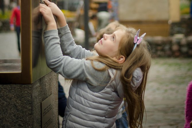 Riga Old Town walking tour - Stop 5: Cat House, spotting the cat, and learning why it matters