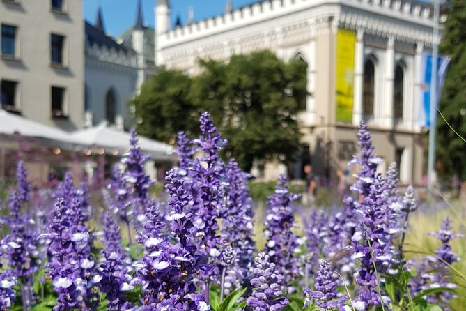 Riga Sightseeing Tour for First Time Visitors - The Van Drive That Connects the Dots