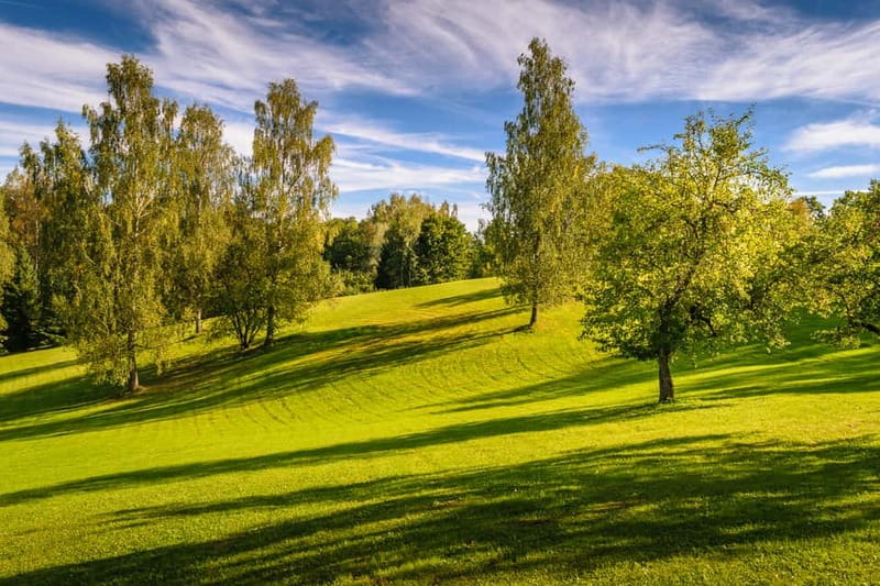 Sigulda Day Tour - Castle Ruins, Gūtmaņala Grotto, & More - Price and Value: What $235 Per Person Gets You