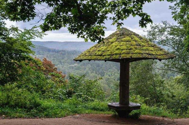 Sigulda Hiking Tour: A Day in the Switzerland of Latvia - Key Things I’d Tell a Friend Before Booking