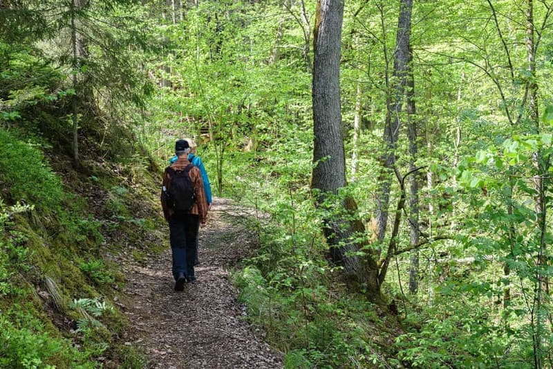 Sigulda Hiking Tour: A Day in the Switzerland of Latvia - Why Sigulda Feels Like Latvia’s Switzerland