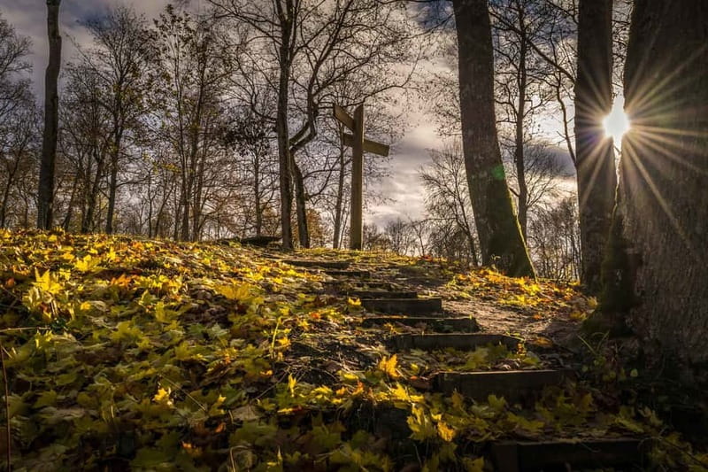 Sigulda Hiking Tour: A Day in the Switzerland of Latvia - Group Style, Guide Approach, and Why It Changes the Experience
