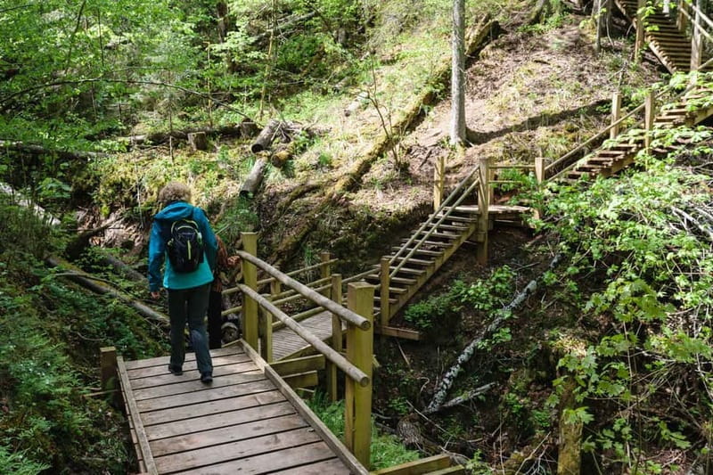 Sigulda Hiking Tour: A Day in the Switzerland of Latvia - The 15 km Route and the 7 Hour Reality Check