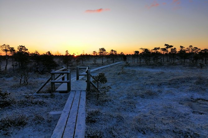 Sunrise at Kemeri National park + Jurmala - Key highlights that make this tour worth your time