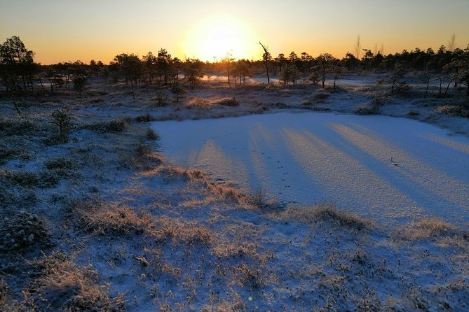 Sunrise at Kemeri National park + Jurmala - Jurmala drive-through and seaside time: what you’ll actually notice