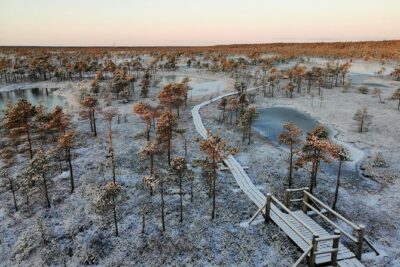 Sunrise at Kemeri National park + Jurmala