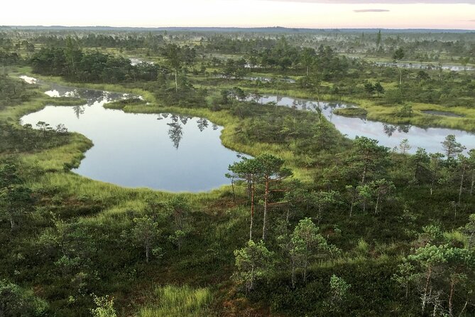 Sunrise at Kemeri National Park - Small Group - Why a Kemeri bog sunrise works so well