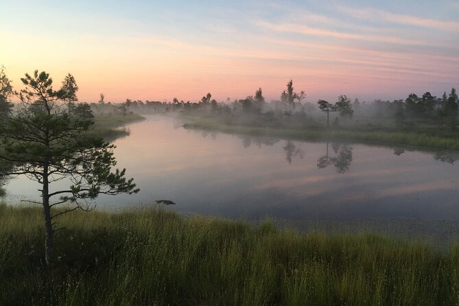 Sunrise at Kemeri National Park - Small Group - Getting from Riga: pickup timing that keeps you sane
