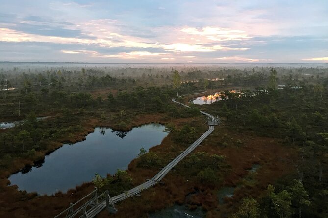 Sunrise at Kemeri National Park - Small Group - The guide experience: personal, upbeat, and flexible