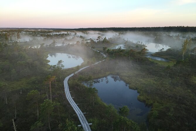 Sunrise at Kemeri National Park - Small Group - How the 3-hour format actually feels on the day