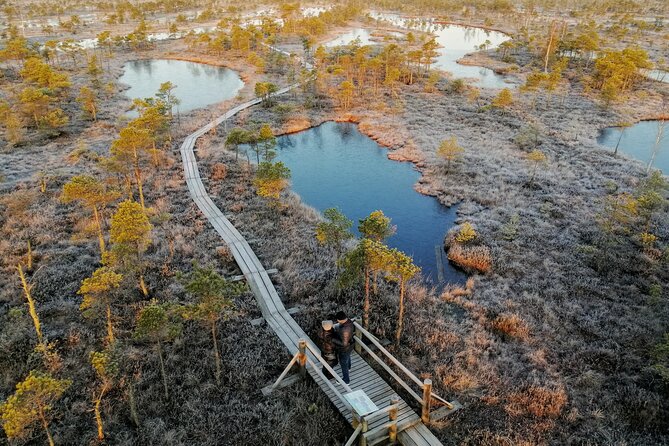 Sunrise at Kemeri National Park - Small Group - Who this sunrise Kemeri tour is best for