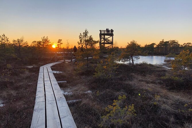 Sunset at Kemeri National Park - Key things to know before you go