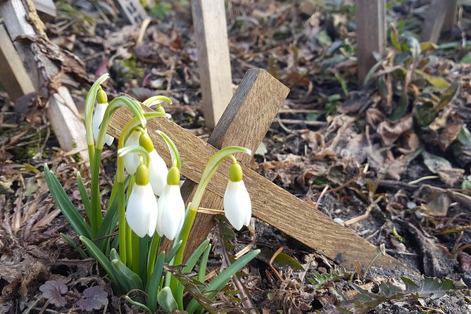 Tour from Riga - Vilnius via Bauska, Rundale, The Hill of Crosses - Should You Book the Riga to Vilnius Transfer With These Stops?