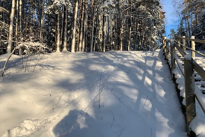 Ultimate Husky dog sledding experience in Latvia - Private tour from Riga - Price and Value: What You Pay For, and What Costs Extra